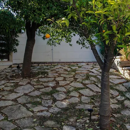 Villatonia - *